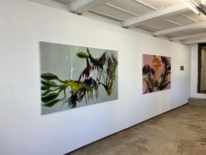Hybrides - Galerie Rössli